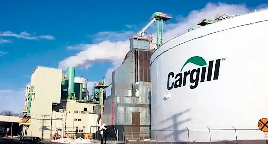 Cargill Gıda Kojenerasyon Projesi